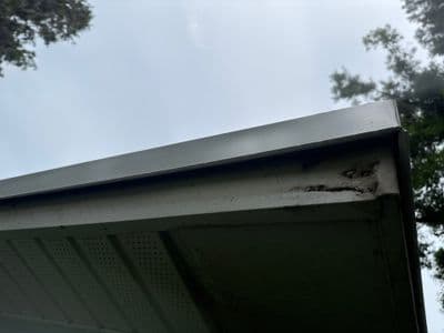 Seamless aluminum gutter install in Lutz, FL — Aug 2025
