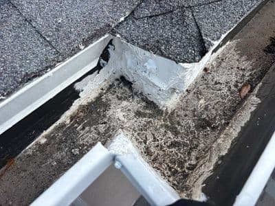 Seamless aluminum gutter install in New Tampa, FL — Mar 2026