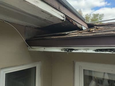 Seamless aluminum gutter install in St Petersburg, FL — Feb 2026