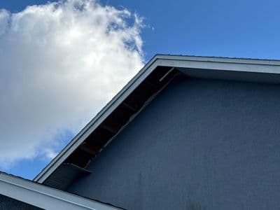 Seamless aluminum gutter install in Oldsmar, FL — Dec 2024
