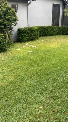 Seamless aluminum gutter install in Lithia, FL — Feb 2023